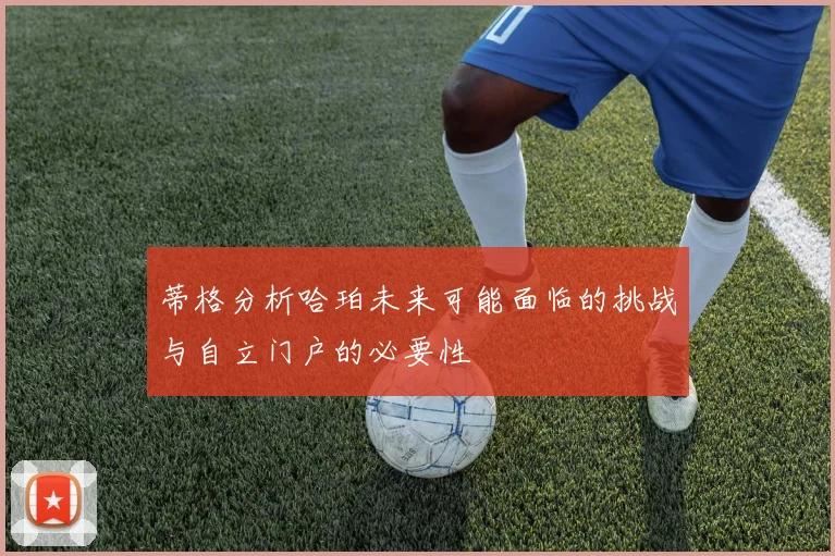 蒂格分析哈珀未来可能面临的挑战与自立门户的必要性