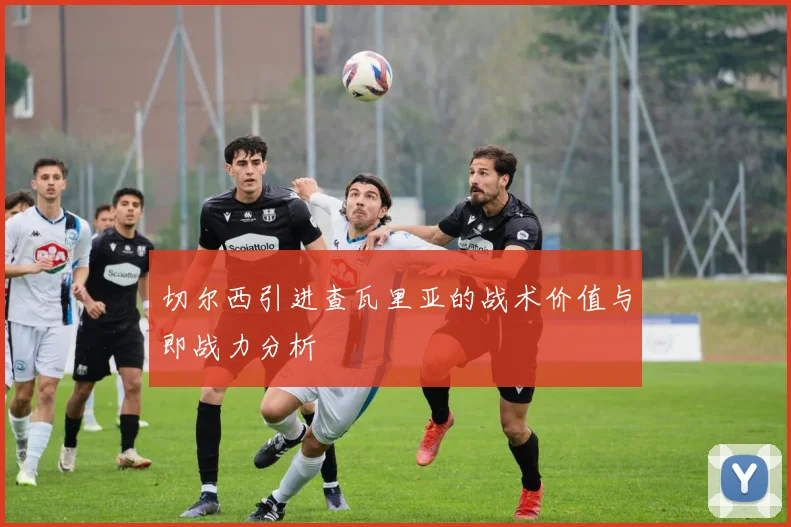 切尔西引进查瓦里亚的战术价值与即战力分析
