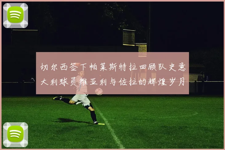 切尔西签下帕莱斯特拉回顾队史意大利球员维亚利与佐拉的辉煌岁月