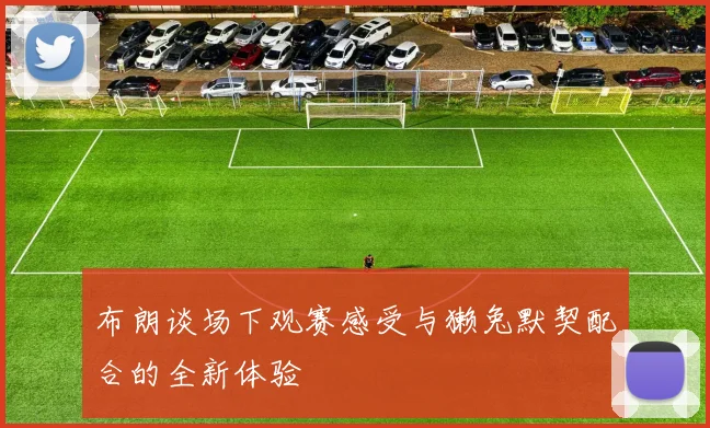 布朗谈场下观赛感受与獭兔默契配合的全新体验